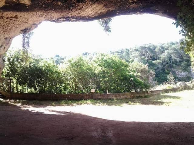 Dino's Park - Image 1