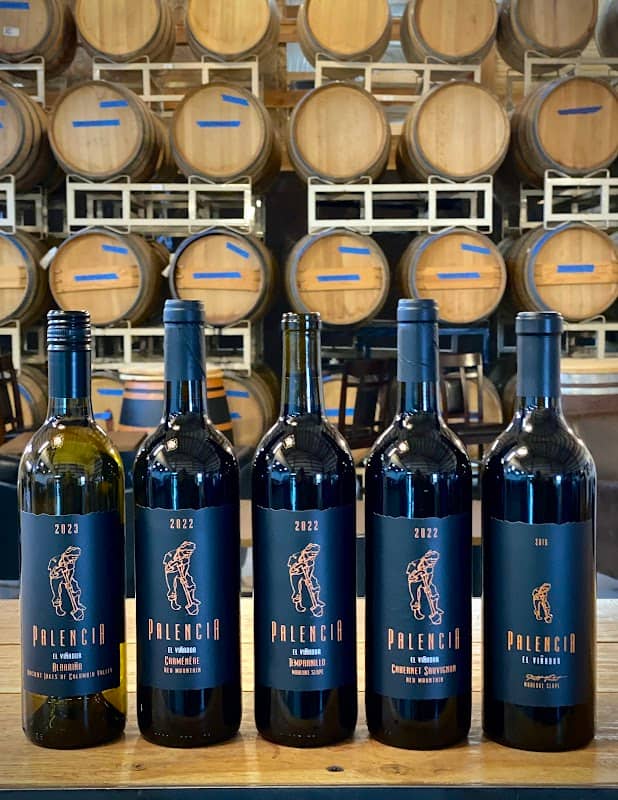 Palencia Winery - Palencia Family Estate - Image 2