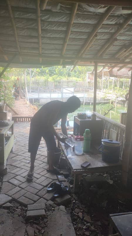 Saung Mang Ajat - Image 2