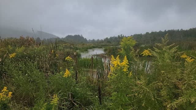 Seneca Nation Fish and Wildlife Community Pond and Recreation Area - Image 2