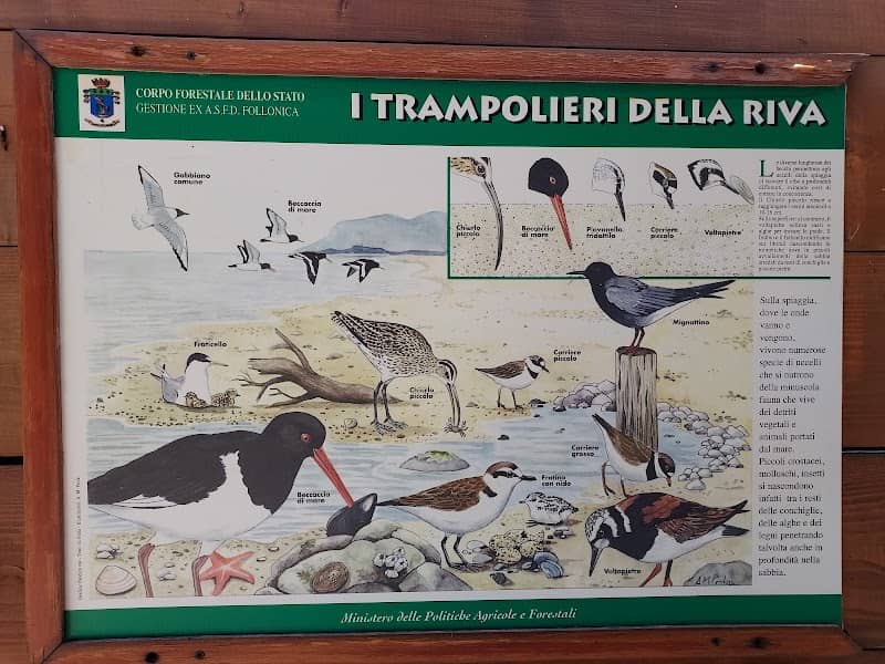 Capanna per il bird watching - Image 1