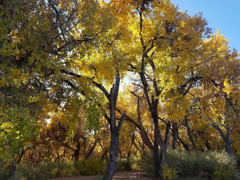 Bosque Park - Image 1