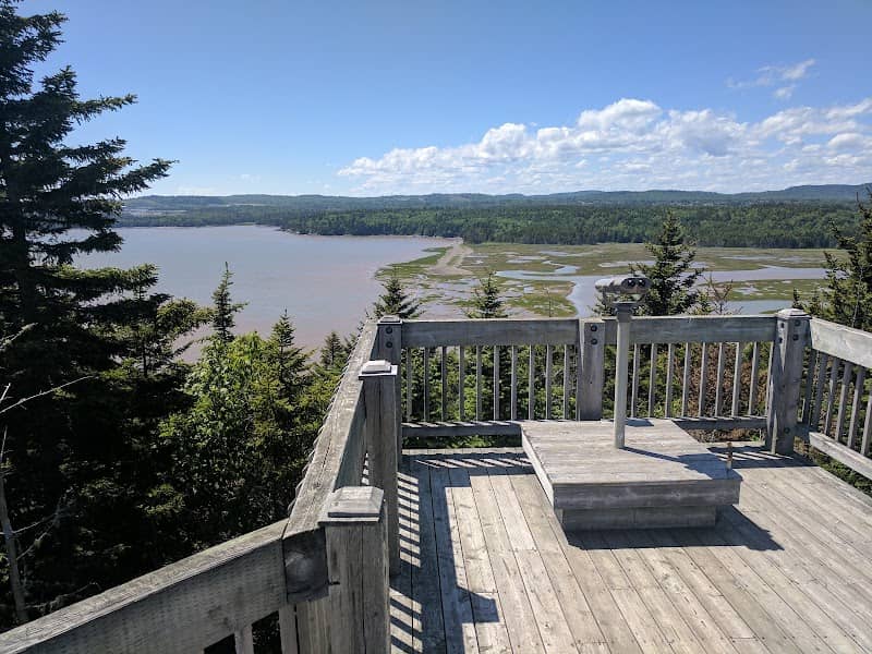 Irving Nature Park Observation Deck - Image 3