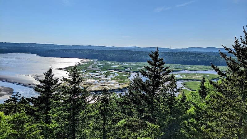 Irving Nature Park Observation Deck - Image 1