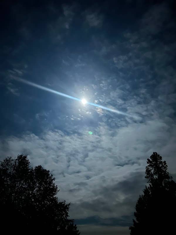 Buchanan Park - Image 1