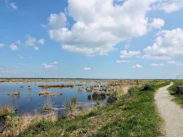 Aussichtsturm Stapeler Moor - Image 1