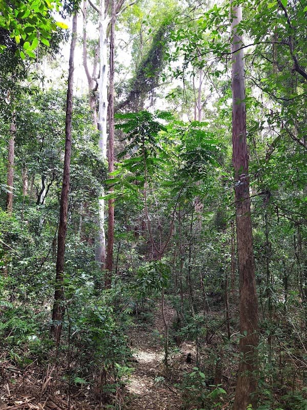 Kororo Nature Reserve - Image 3