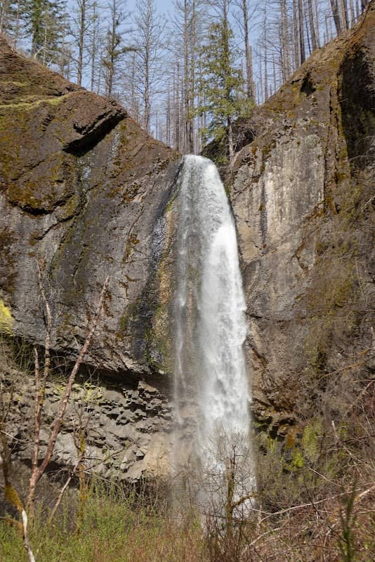 Wy'east Falls - Image 1