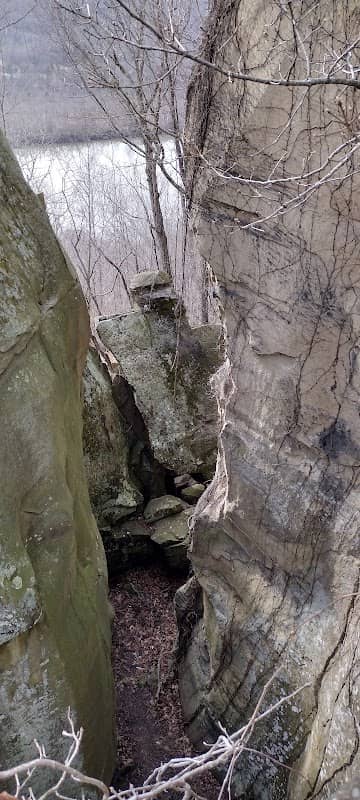 Amherst/Plymouth Wildlife Management Area - Image 1