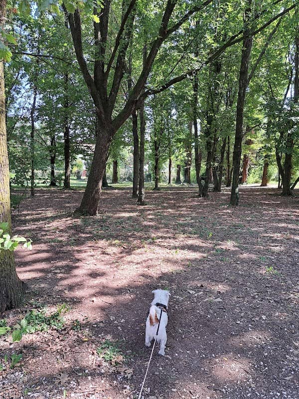 Parco del Donatore - Image 2