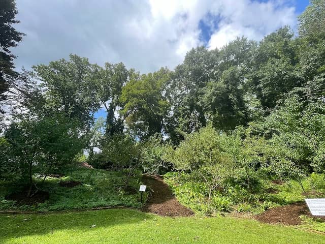 The Peach Pit - Image 1