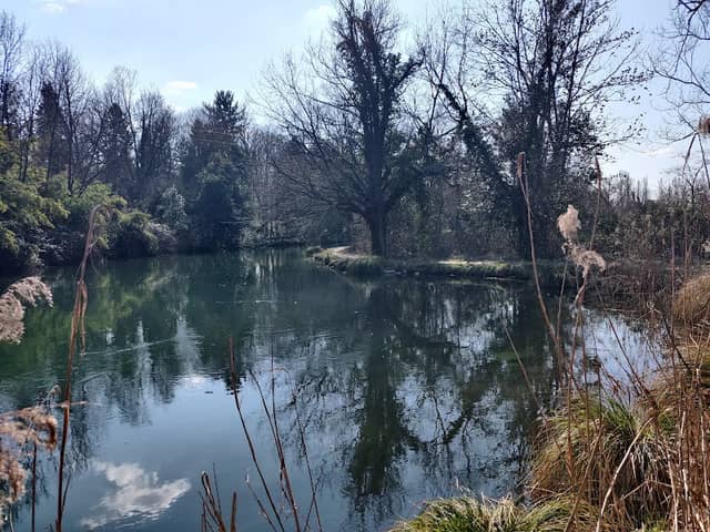 Seminary Park - Image 1