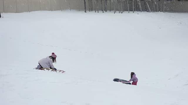 Silver Leaf Park - Image 2