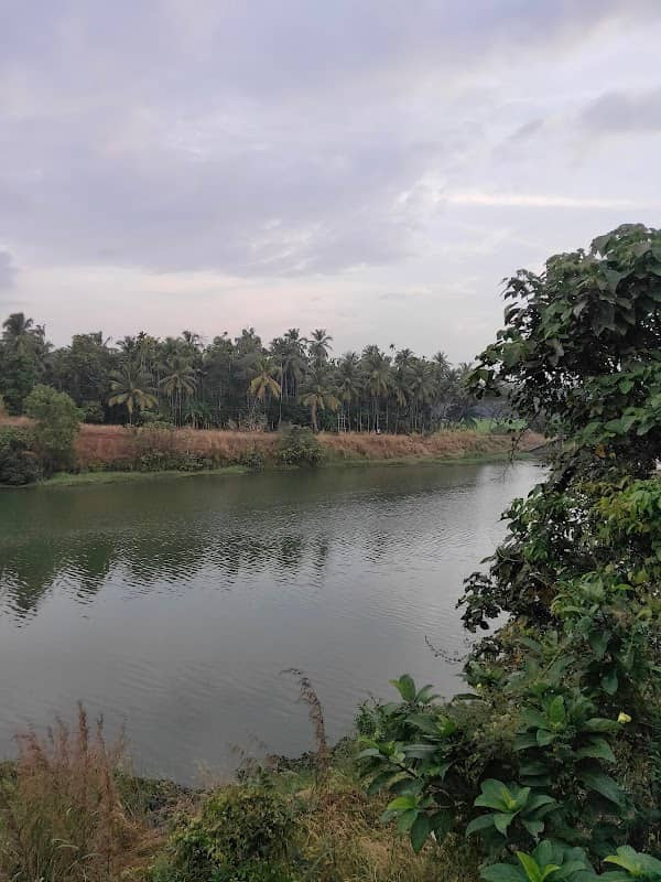 KANNENGATH K.L.D.C. Water source - Image 1