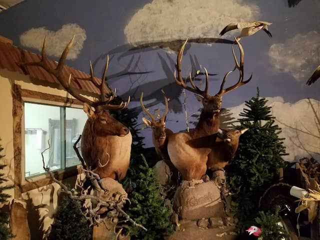 Messenger's Old West Museum - Image 5