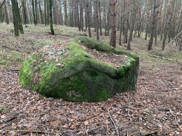 Augenstein - Image 1