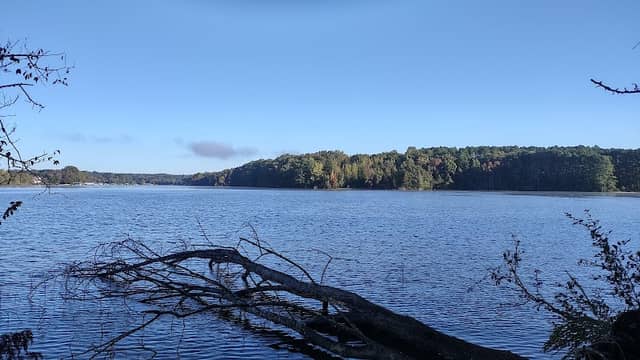 Boiling Fork Trail - Image 2
