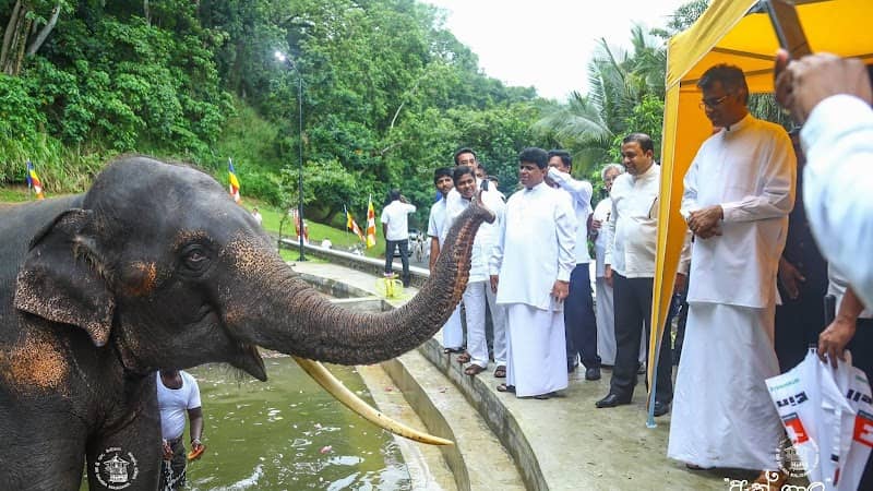 Athgala | ඇත්ගාල | யானை குடில் - Image 1