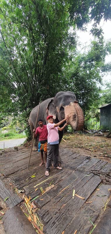 Athgala | ඇත්ගාල | யானை குடில் - Image 2