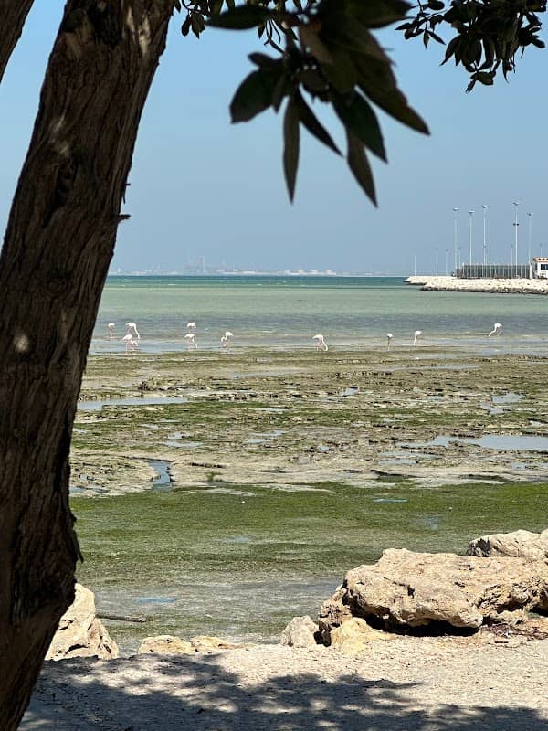 Blue beach - Image 1