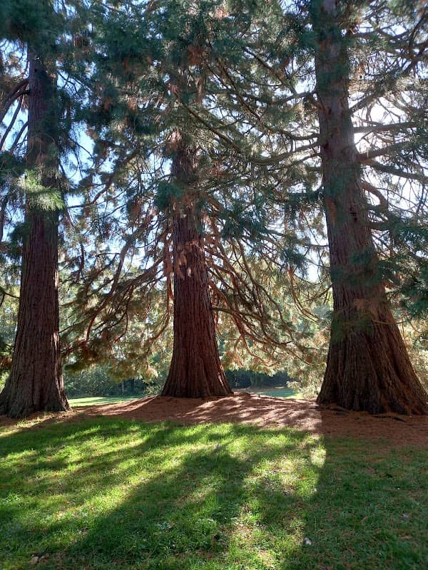 Snaprails Park - Image 1