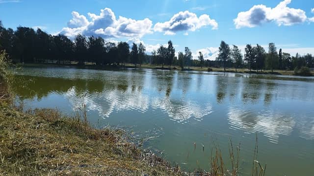 Kirsikkapuisto (cherry park) - Image 1