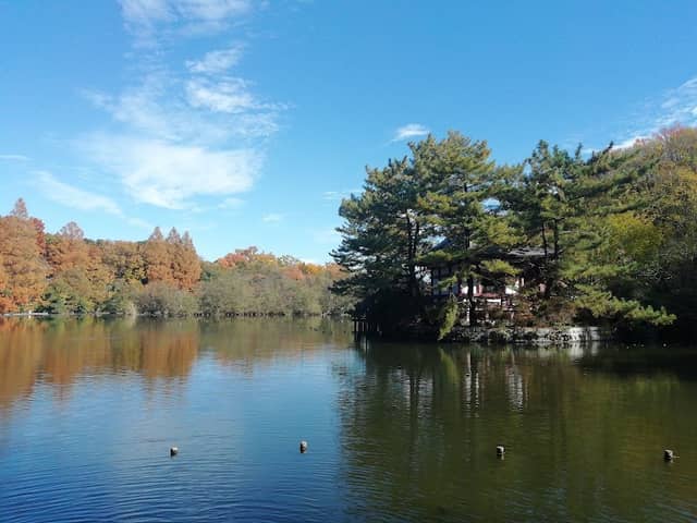Shakujii Park - Image 2