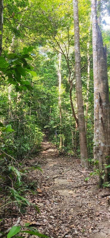 Puncak Bukit Tokki - Image 1