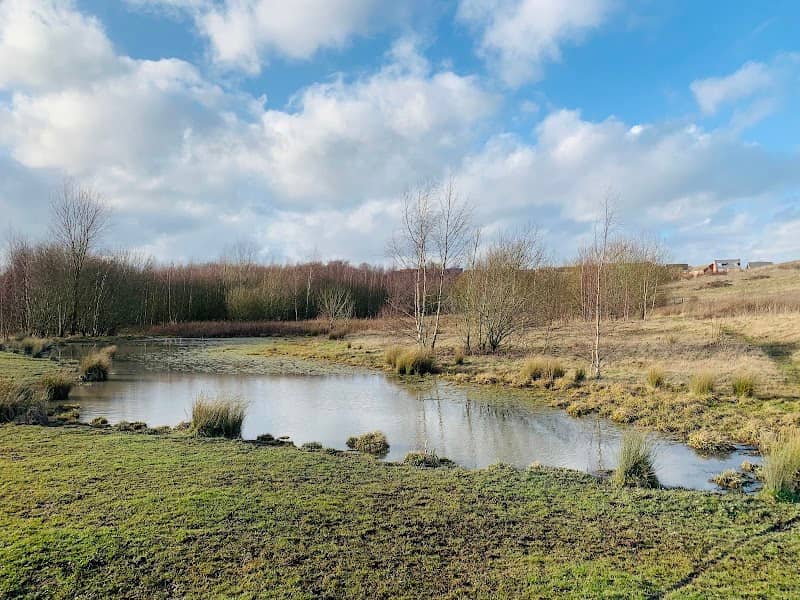 Gedling Country Park - Image 2