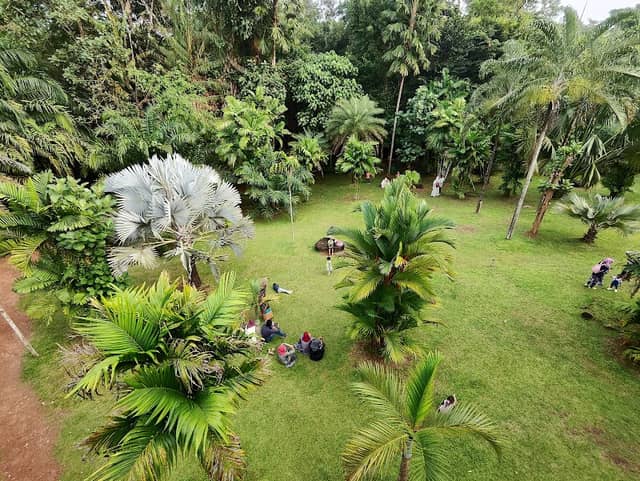 Tower View - Image 3