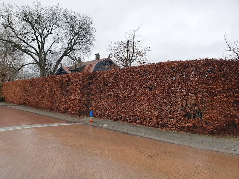 Het Noorsche Huis - Image 3