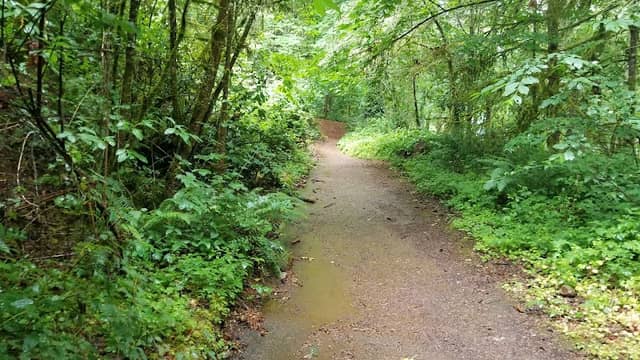 Croisan Creek Trail - Image 1