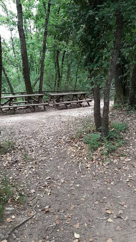 Area picnic - Image 1