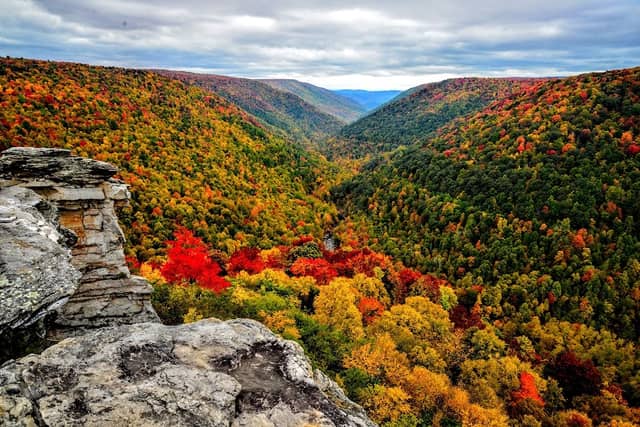Blackwater Falls State Park - Image 3