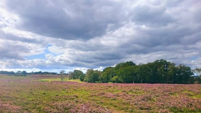 King's Hat Inclosure - Image 2