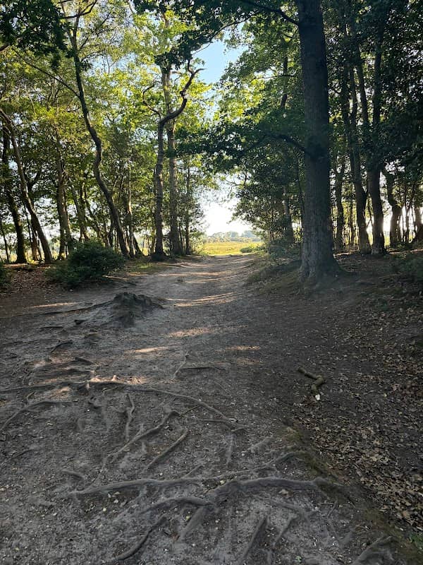 King's Hat Inclosure - Image 3