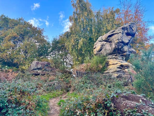 Toad Rock - Image 1