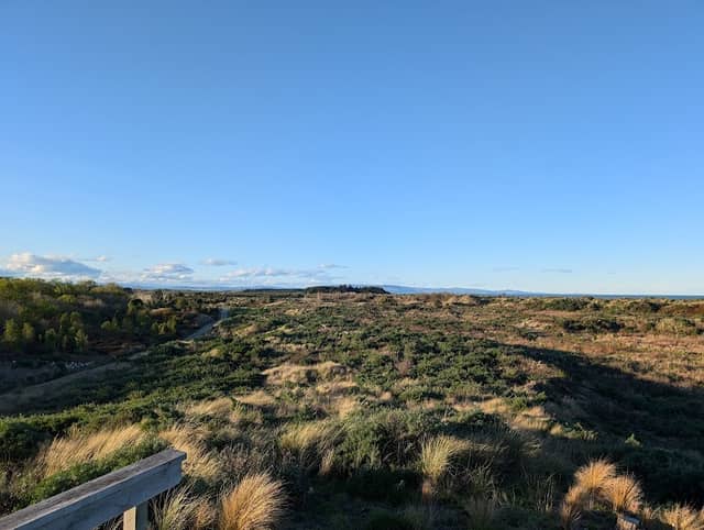 Tūtaepatu Lagoon viewpoint - Image 2