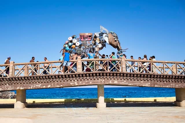 Underwater museum - Image 2