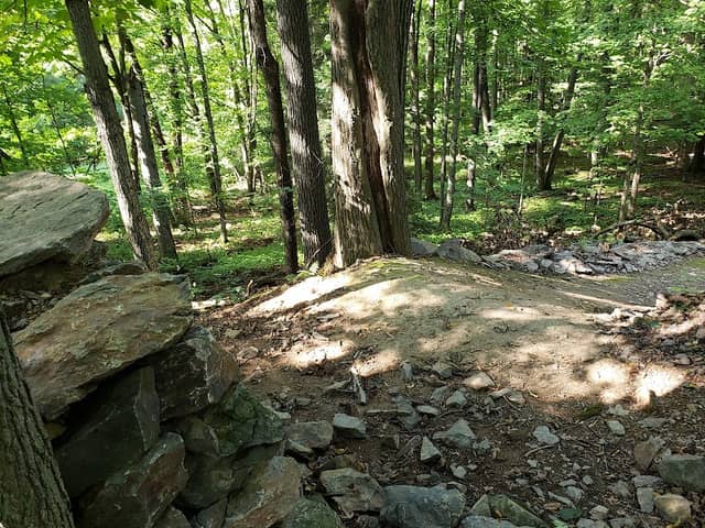 Sylvan Hill Bike Park - Image 1
