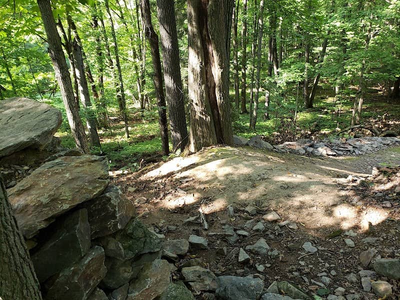 Sylvan Hill Bike Park - Image 1