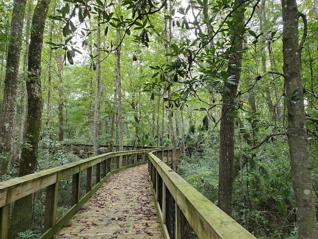 Monticello Ecological Park - Image 2