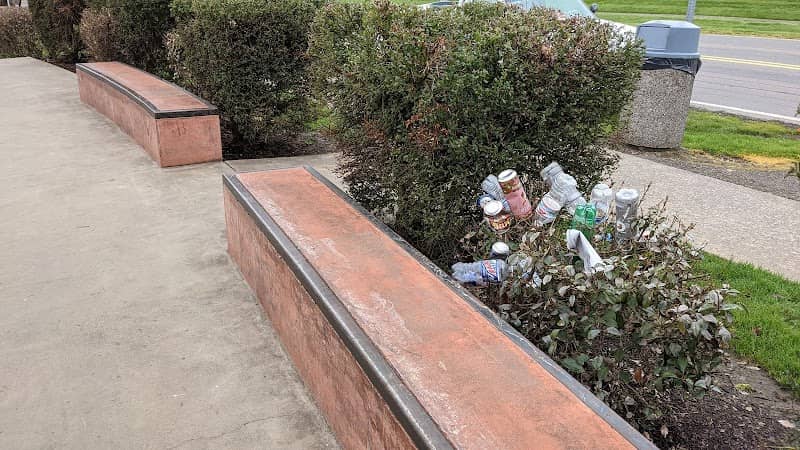 Holley Skatepark - Image 2