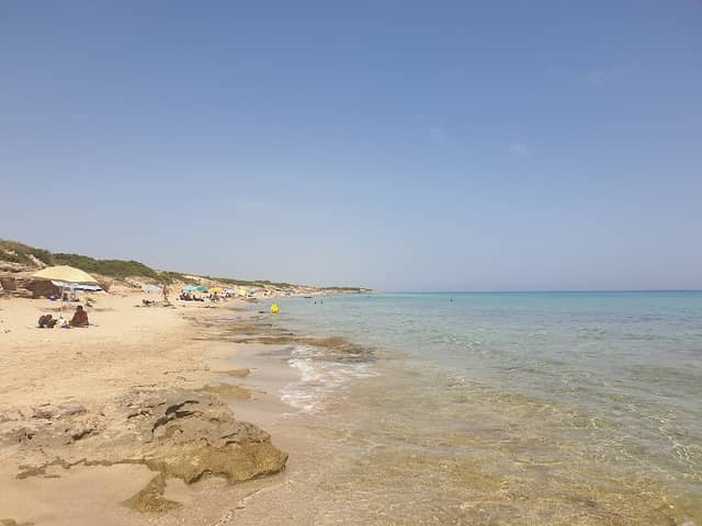 Mare campo Marino - Image 1