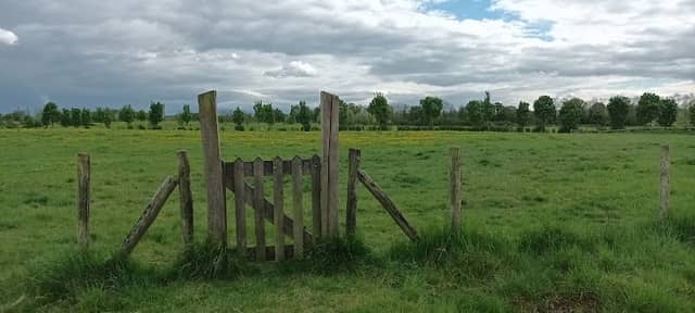 Heidekamppark - Image 1