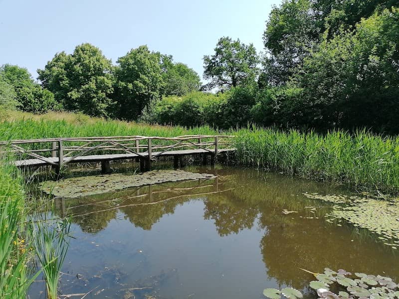 Natuurcentrum De Specht - Image 1