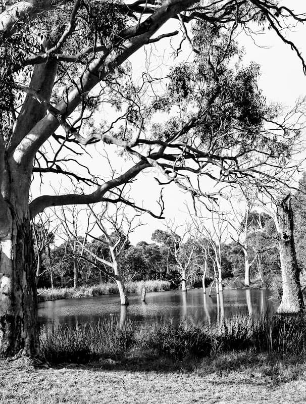 Drumminor Lake - Image 1