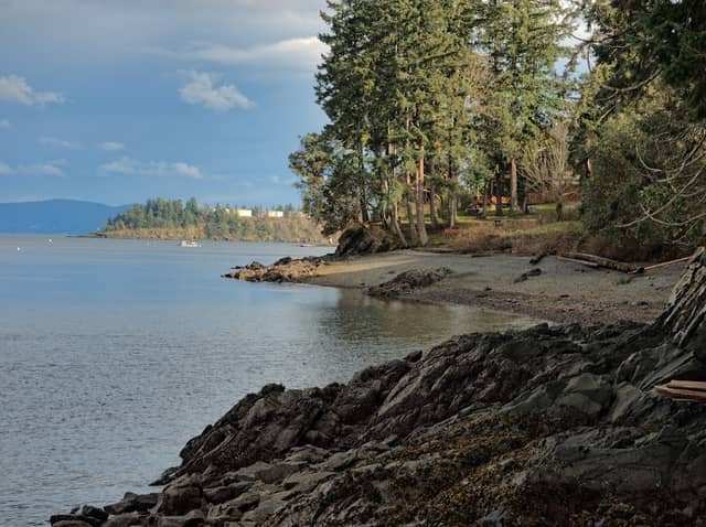 Cook Beach Park - Image 1