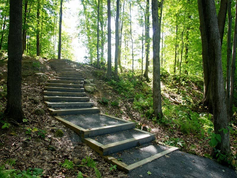 Parc du Boisé-Messier - Image 1