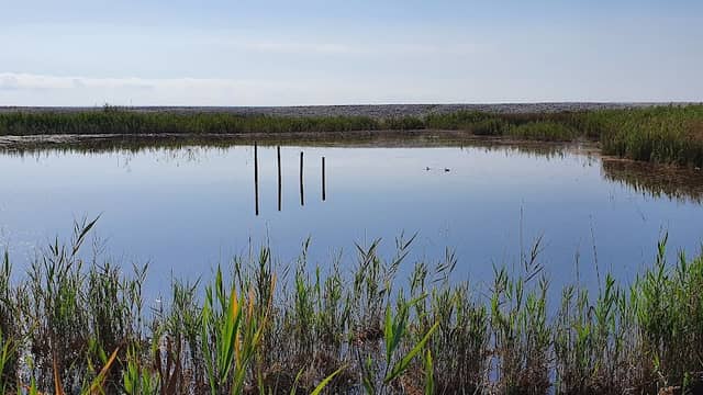 Parc Natural del Prat de Cabanes-Torreblanca - Image 1